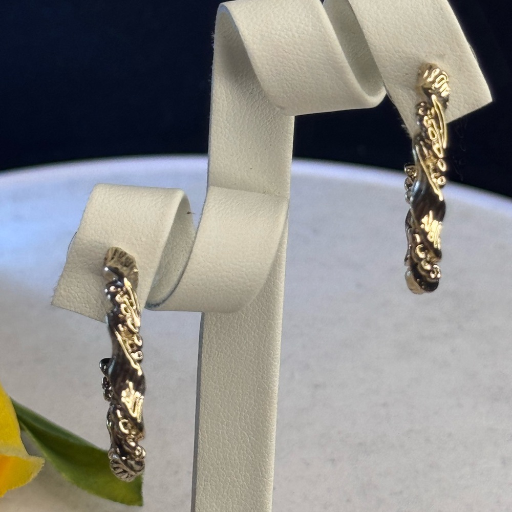 EXPRESS Gold Tone Textured Open Hoop Earnings